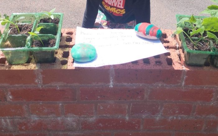 brick wall with small pepper and cucumber plants on it being given away or in exchange for a donation to Paul's Place