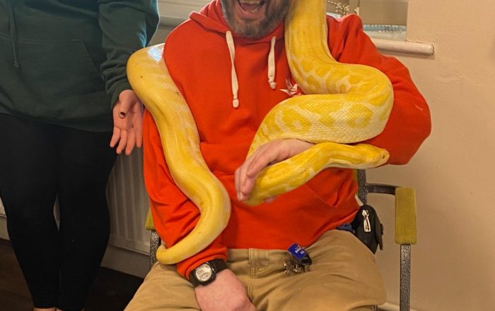 Dave Owen handling a snake from Animal Interactive.